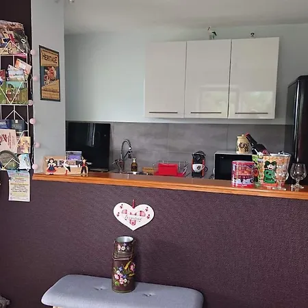 Le Petit Paradis De Sylvala Апартаменты Bourg-Bruche