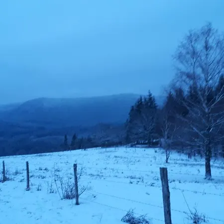 Le Petit Paradis De Sylvala * Bourg-Bruche
