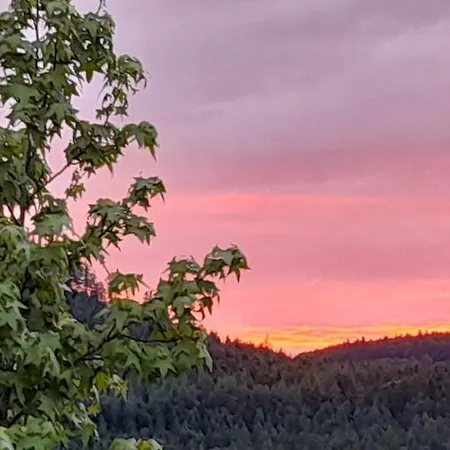 Le Petit Paradis De Sylvala Апартаменты