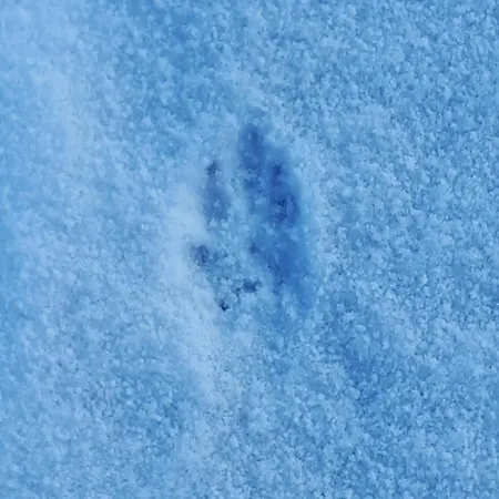 Le Petit Paradis De Sylvala Апартаменты *