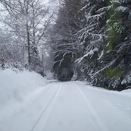 Le Petit Paradis De Sylvala Bourg-Bruche