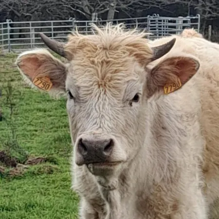 Le Petit Paradis De Sylvala Апартаменты *