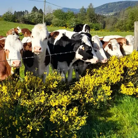 Le Petit Paradis De Sylvala